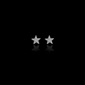 The Midnight Star Earrings