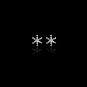 The Icicle Star Earrings